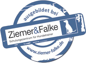 Ziemer & Falke